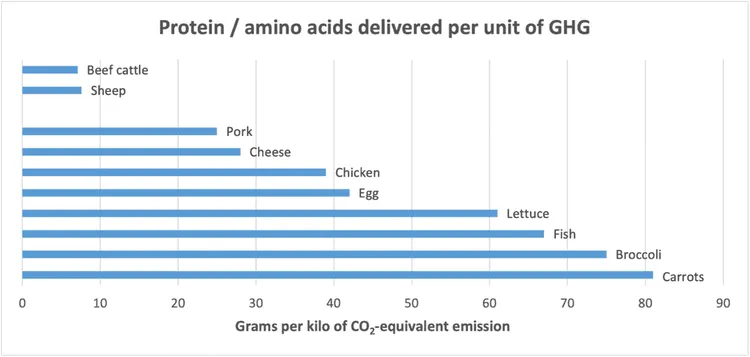 Graph showing protein/amino acids delivered per unit of GHG emissions.